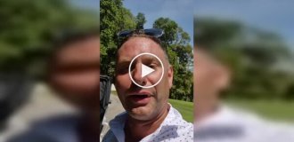 Наглые обезьяны украли одежду для гольфа у туриста