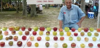 A pensioner built the world's largest "apple ark" (5 photos)
