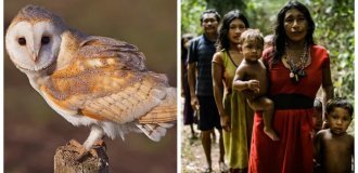 8 facts that will change how you view the body, the brain, and the limits of life (9 photos)