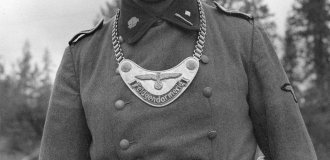 Навіщо німецькі солдати носили металевий щиток на грудях? (5 фото)