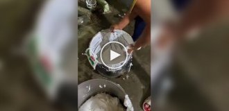 Изготовление тортов в кондитерском цеху в Индии