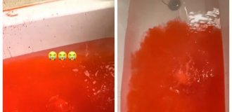 A bath bomb unpleasantly surprised a girl (2 photos + 1 video)