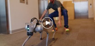 Жесткий тест роботов
