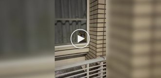 Лучшая система видеонаблюдения