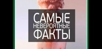20+ настолько невероятных фактов, в которые трудно поверить, но они абсолютно реальны! (26 фото)