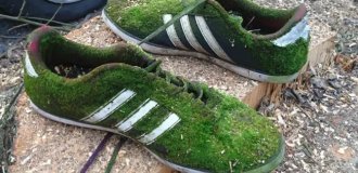 22 фото, которые доказывают, что чудеса существуют (22 фото)
