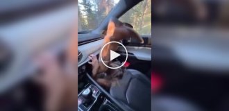 Парень наглядно показал, почему нельзя ставить ноги на панель в машине