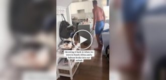 В Южной Африке бабуин пробрался в квартиру туристов и устроил фруктовый пир