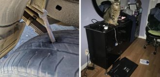 25 курьезов: кому-то сегодня не повезло куда больше, чем остальным людям (25 фото)