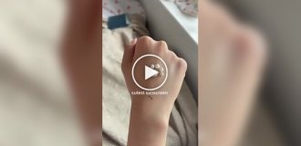 Крем от загара с кошачьими лапками