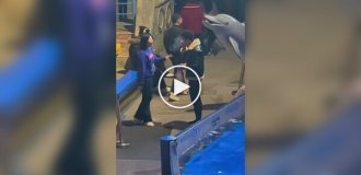 A beluga whale extinguished a smoker's cigarette in China