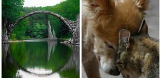 20 поводов улыбнуться и восхититься, подаренных природой (21 фото)