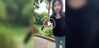 Learning to spin nunchucks like a kung fu master