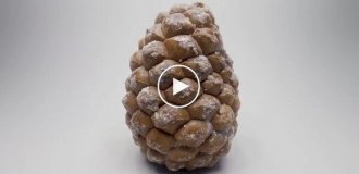 300 дней роста семечки