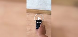 Странные видео (короткие видео). Выпуск 30