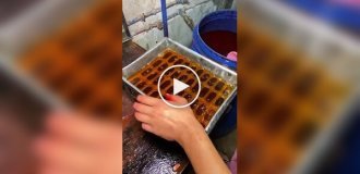 Как в Индии производят мороженое на палочке