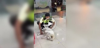 Охранник выпроваживает собаку из магазина