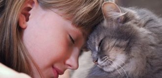 5 причин, по которым кошки лижут волосы хозяина (6 фото)