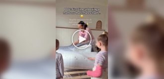 Домашнее восстание матрасов