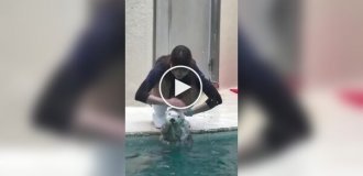 Sea otter keeper in Japan