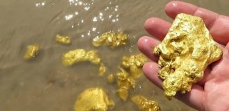 Some facts about gold (5 photos)