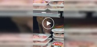 A ginger cat made himself lunch right in the supermarket display case