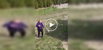 Дартс по-взрослому