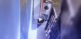 Грабитель скрылся с места преступления на осле