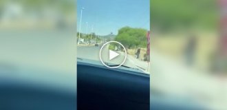 Странные видео (короткие видео). Выпуск 32