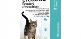 Ефективні засоби боротьби з паразитами у котів