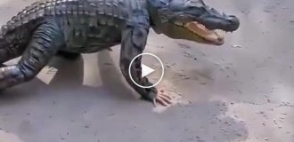 Шутник подкрался незаметно