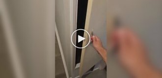 Парень сделал для своего кота королевский туалет