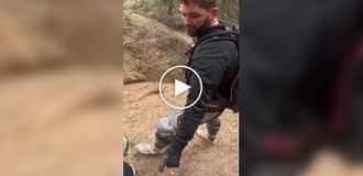 With such friends, you don't need enemies