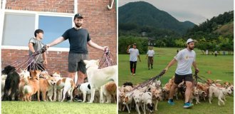 A man took 38 dogs for a walk at the same time and broke a world record (2 photos)