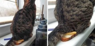 20 человек, у которых день проходит точно хуже, чем у вас (21 фото)