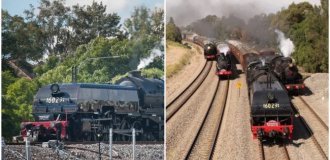 The most unusual vintage locomotive races in the world (1 photo + 2 videos)