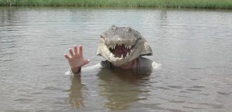 A bold experiment: a zoologist became a crocodile and climbed into their lair (7 photos)