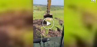 Экскаватор устроил собаке необычный аттракцион