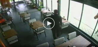 Лошади не понравилось отражение в стекле