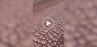 Beautiful and amazing (short videos). Release 64