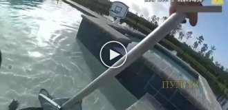 Полицейский поймал аллигатора голыми руками