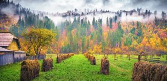 20 фотографий, на которых осень фантастически прекрасна (21 фото)