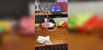 Кот стащил кусок мяса из тарелки