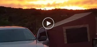 A man accidentally filmed kangaroos fighting against the backdrop of a fiery sunset