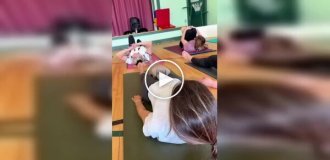 Йога со щенками: когда дзен получают и люди, и собаки