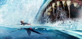 Несколько малоизвестных фактов о мегалодонах (13 фото)