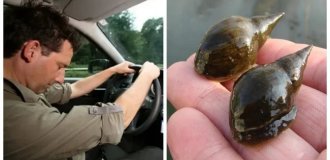 10 facts that will make you rethink reality (11 photos)