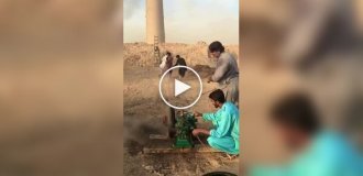 Мужчины придумали креативное развлечение из подручных материалов