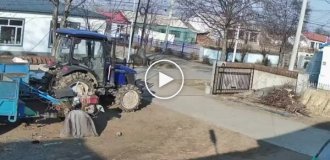 Кабан врезался в мотороллер