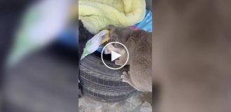 Чужих детей не бывает